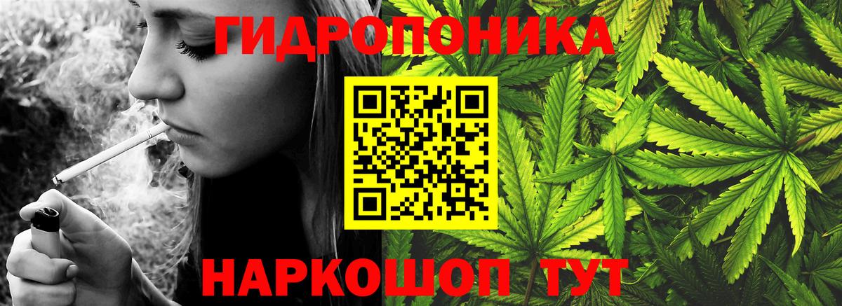 Бошки Шишки MAZAR Долгопрудный