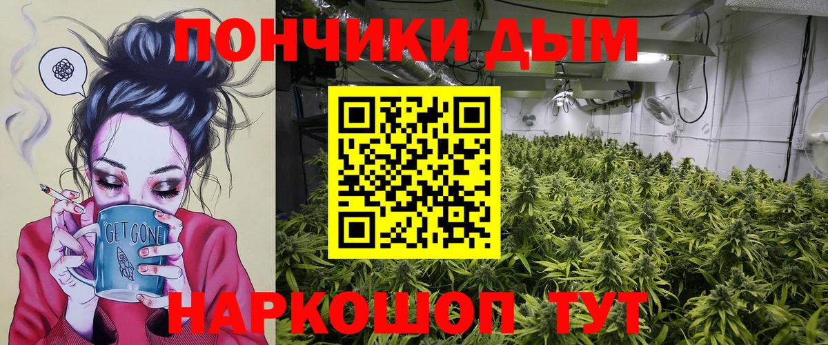 Бошки Шишки MAZAR  Шишки марихуана конопля  Вход с VPN  Долгопрудный  Канабис Amnesia 